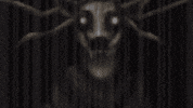 GIF by Giffffr