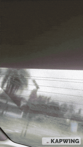 Carfluence giphyupload GIF