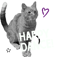 Happy Love It Sticker by Stella and Chewy's