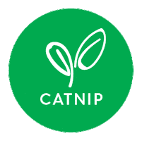 Cat Toy Catnip Sticker by Kazoo Pet