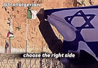 Israel Islam GIF