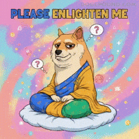 Shiba Inu What GIF by Doge Pound