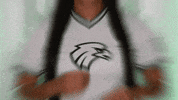 Softball GIF by RiverHawk Sports