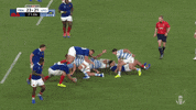 World Rugby Sport GIF by Rugby World Cup