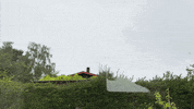 City Denmark GIF