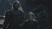 hbo GIF by Game of Thrones