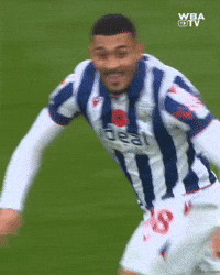 West Brom Championship GIF by West Bromwich Albion