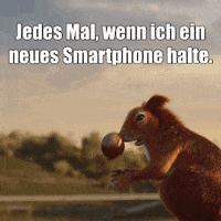 squirrel falling GIF by EnBW