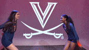 Celebration Volleyball GIF by Virginia Athletics