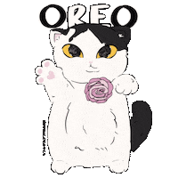 Oreo Oreocat Sticker