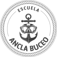 anclabuceo diving dive buceo padi GIF
