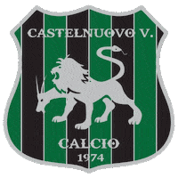 asdcastelnuovocalcio abruzzo lnd castelnuovo castelnuovovomano Sticker