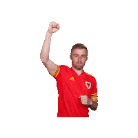 Wales National Team Football Sticker by FA Wales