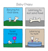 chippythedog dog baby dogs puppy GIF