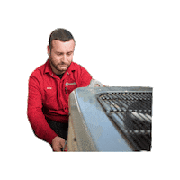 Work Kevin Sticker by Comfort Time