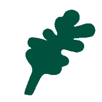 Birch Leaf Sticker by helixsleep