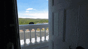 Library Hanover GIF by Dartmouth College