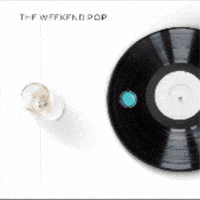 northernterroir wine zoe whitewine sparklingwine GIF