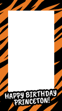 Orange And Black Sticker by Princeton University