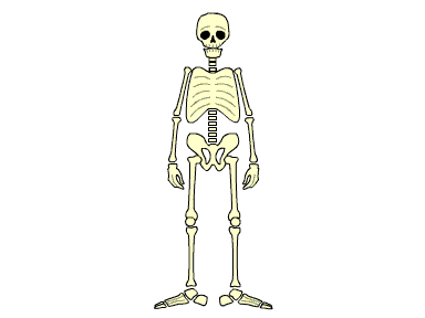 dead dance STICKER