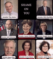 Tim Kaine Democrats GIF by Respective