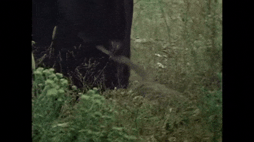 Sneak Attack Rock GIF by Ghost