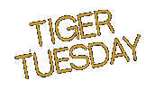 Tiger Tuesday Sticker by Towson University