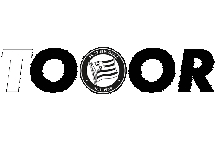 Tor Sturmgraz Sticker by SK Sturm