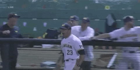college baseball sport GIF by NCAA Championships