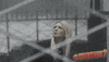 GIF by Sharknado 2