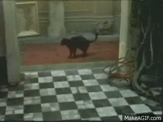 the matrix GIF