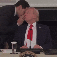 Marco Rubio Trump GIF by Respective