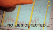 Lies GIF