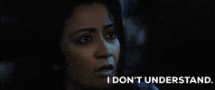 excuse me what GIF by TinaTheMovie