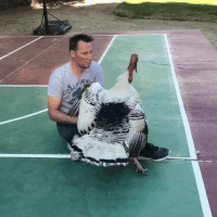 food play GIF
