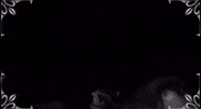 Punk Emo GIF by Marquis of Vaudeville
