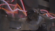 felly felly above water GIF