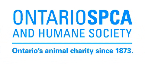 ospcapeac giphygifmaker animals adopt humane society GIF