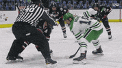North Dakota Hockey GIF by University of North Dakota