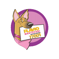 Flavio Sticker by flaviomantovani.oficial