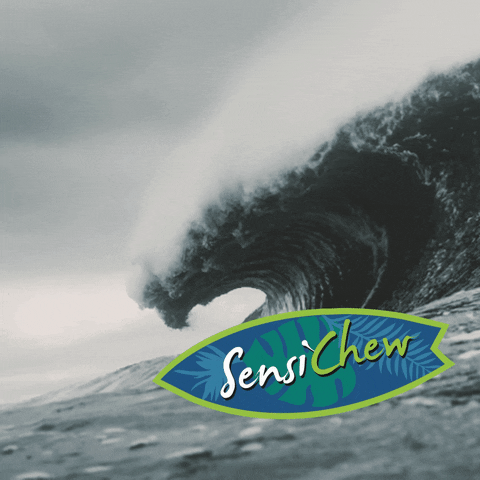 Sensi_Signature_Products beach wave surf cannabis GIF