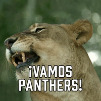 ¡Vamos Panthers!
