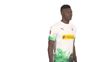 Posing Line Up Sticker by Bundesliga