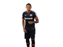 Bayer 04 Goal Sticker by Bayer 04 Leverkusen