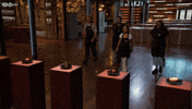 Australia Harry GIF by MasterChefAU