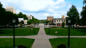 hawkeyes herky GIF by University of Iowa