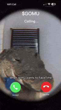 Crypto Calling GIF