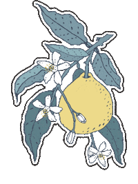 Citrus Sticker by YOOLETTA