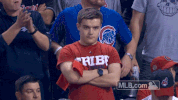 World Series Baseball GIF by MLB