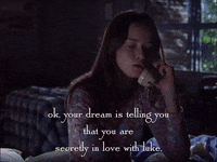 season 3 netflix GIF by Gilmore Girls 